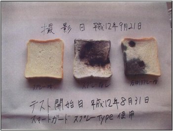mouldy bread before and after Microbial